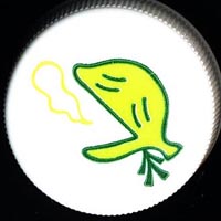_Ch[hR@t̒