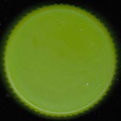 �����_�[�`�B���f�B�A�@�O���[�v�t���[�c���낲��ʓ�����@�L���@NYG��